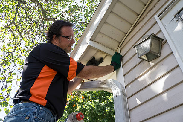 Storm Damage Siding Repair in Holualoa, HI